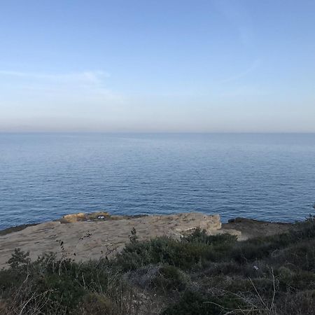 イズミル Tiny House Framed By Nature Near Sea In Karaburunヴィラ エクステリア 写真