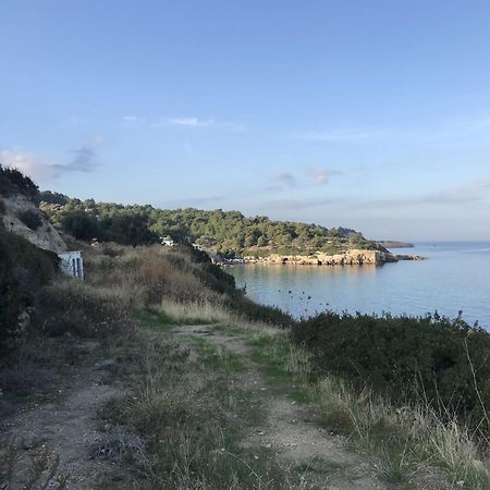 イズミル Tiny House Framed By Nature Near Sea In Karaburunヴィラ エクステリア 写真