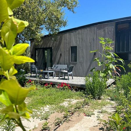 イズミル Tiny House Framed By Nature Near Sea In Karaburunヴィラ エクステリア 写真