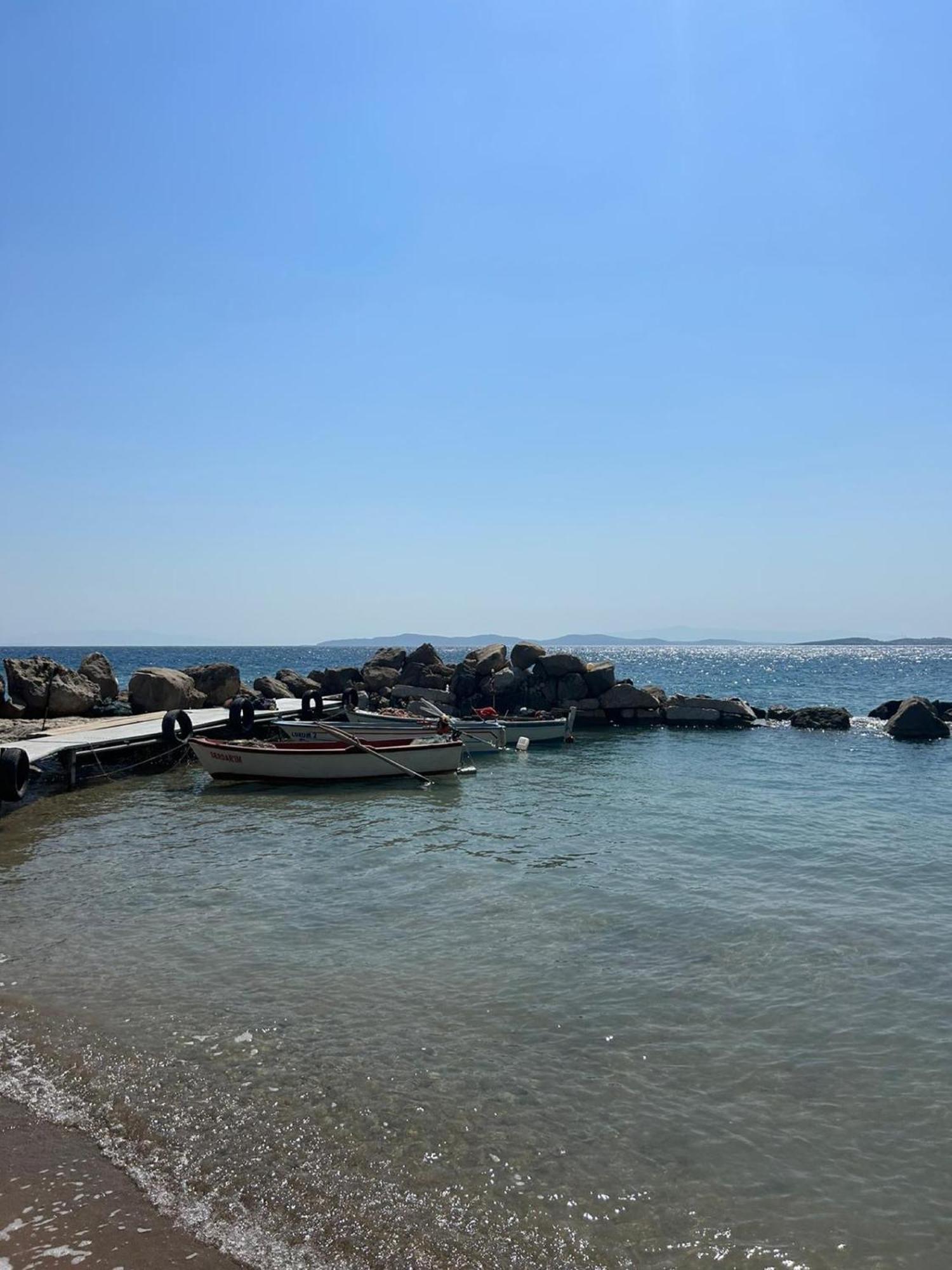 イズミル Tiny House Framed By Nature Near Sea In Karaburunヴィラ エクステリア 写真